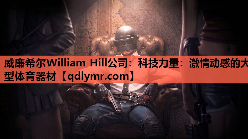 科技力量：激情动感的大型体育器材