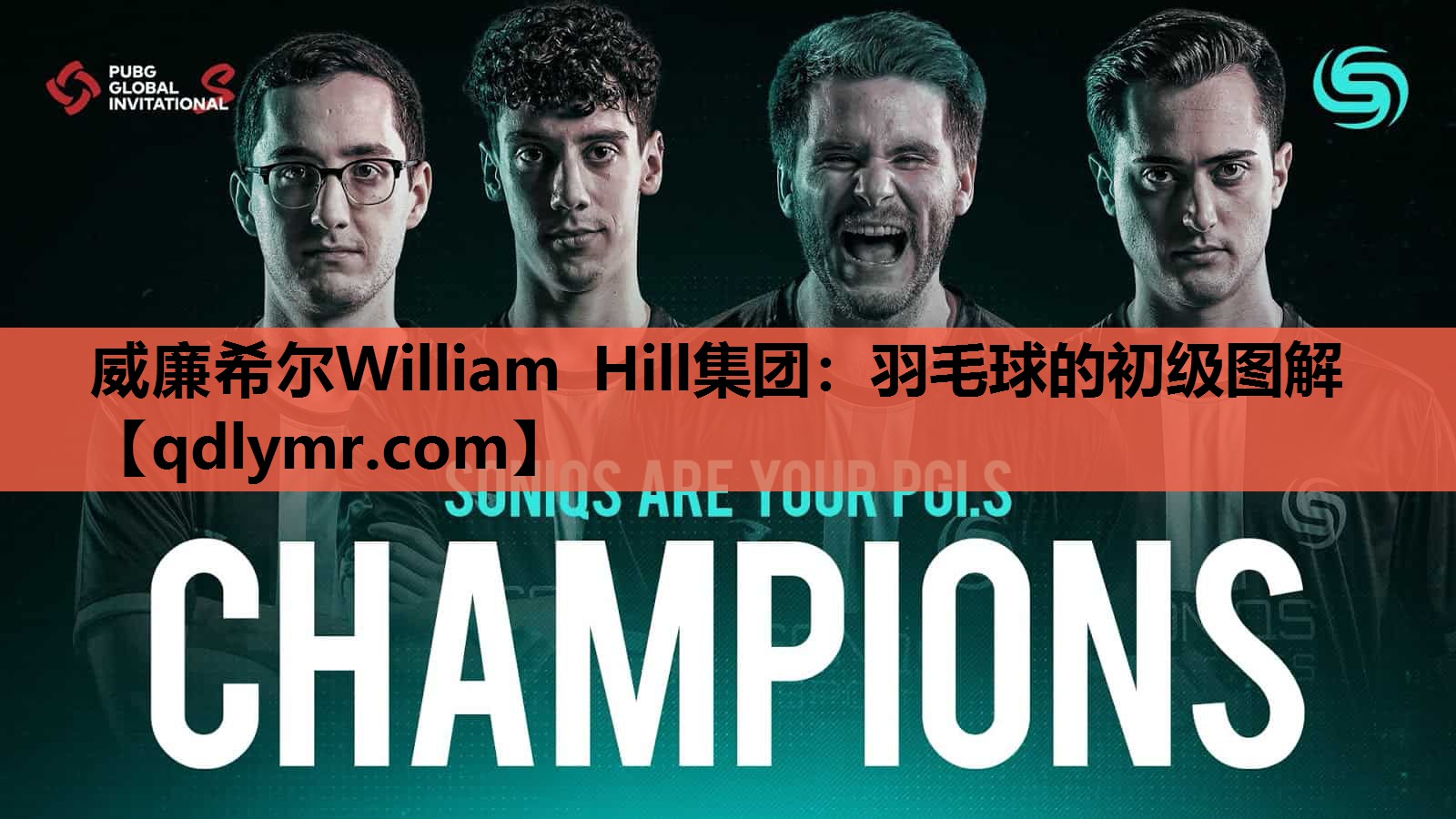 羽毛球的初级图解