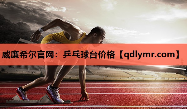乒乓球台价格
